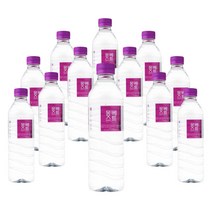 몽베스트 500ml 20펫 미네랄워터 안전한 생수