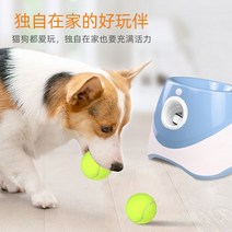 공던지는기계 자동 장난감 기계 강아지 고양이 볼 던져주는 분리불안 보상, F. 파란색무선티+테니스공9개