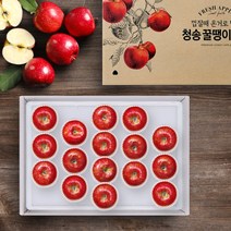 [청년연구소] 청송 꿀땡이 사과 5kg 15-17과(중과), 1개