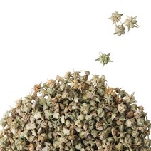 동의한재 백질려 질려자 남가세 남가새열매 600g, 1개