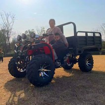 4륜구동 바이크 충전식 사륜오토바이 소형 산악 ATV 전기 공장 직접 판매 4륜 농부 차량 오프로드 오토바이 샤프트 회전 해변 다니엘 전지형, 윈치