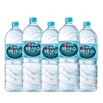 농심 백산수, 2L, 38개