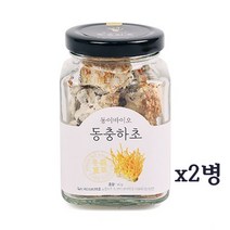 동이바이오 밀리타리스 동충하초 차 코디세핀 분말 가루 약용버섯 종균 단백질 40g 2병, 80g