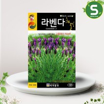 솔림텃밭몰 허브씨앗 라벤다씨앗 100립 라벤더 라벤다 허브씨, 1개