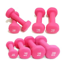 프로모릭스 네오프렌 미용아령 2개세트 0.5~2KG, 0.5kg