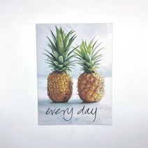 더나은 촬영용 킨포크 소품잡지 영문잡지 24p 20종, 파인애플