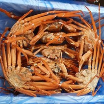 자숙 홍게 3kg 실속형, 1개