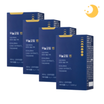 팜엔탑 숙면 수면영양제 세로토닌영양제 세인트존스워트 테아닌효능 세로토닌 딥슬립 꿀잠 굿잠 수면부족증상 만성피로 스트레스 수면부족 수면보조제 감태추출물 4g x 15포, 4개