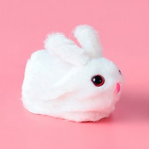 데굴데굴아기토끼, 1+1개 (13% 추가할인)