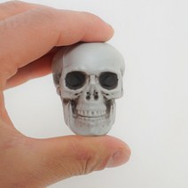 두개골 해골 모형 5호 5.7x4.5x4.2cm, 단품