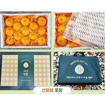 제주 카라향 선물용 2kg 5-11과 만감류 제철과일 제주과일 (선물가방포함)