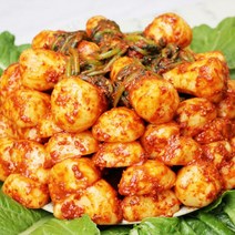 여수 총각김치 3kg 알타리김치 달랑무 종말이 곽진영