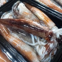 소짜 통 오징어 1kg 6-9마리 10kg 60-90마리, [급냉]통찜오징어 10kg(60-90미내외)
