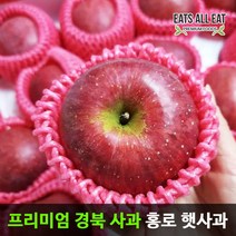 이츠올릿 경북 햇 홍로 부사 꿀 사과 10kg 정품 중대과 (28-33과) 껍질째 먹는 가정용 청송 안동 문경 장수