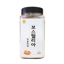 인도 보스웰리아 추출 분말 250g 파우더 유향나무 1통 노인 성인 관절연골 고함량 보조제 직장인 대용량