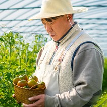 [산지직송] 부산 대저 짭짤이 토마토 농협인증, 짭짤이토마토(3S) 2.5Kg, 1개