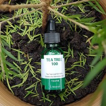 닥터미네랄 티트리100 호주산 유기농 티트리잎 에센셜 오일 100% 원액 30ml