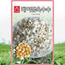 케이팝옥수수 씨앗 옥수수 씨 종자 20g, 1개
