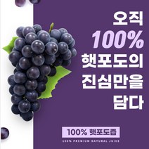 담다 100% NFC 착즙원액 대용량 영동 포도즙 120ml 50p (1박스)