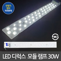 디럭스 KS인증 LED모듈 방등 거실등 형광등 LED전구 LED거실등 LED주방등, 02. 국산 KS LED모듈 220V 직결 30W 주광