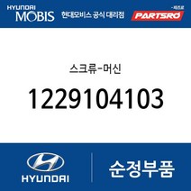 스크류-머신 (1229104103) 베르나 엘란트라 아반떼 쏘나타 마르샤 그랜저/다이너스티 에쿠스