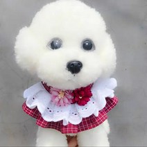 딸구네댕댕이옷짱 강아지 고양이 큰 꽃송이 케이프, 1개, 차콜M