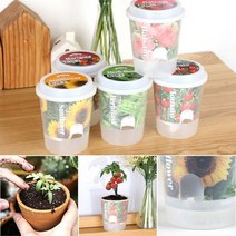 W7C5633이파인 저면관수 삼투압화분 식물키우기 세트 실내식물 잔디 화분만들기 홈가드닝 미니화분 인테리, 봉선화