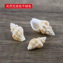 천연 소라조개백색어린이집 수작업 diy펀칭 풍령재 경관나사 공예-40615, 17.500g 옐로 트위스트 2-3CM