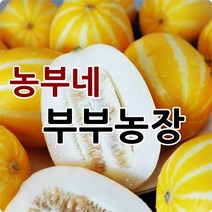 농부네 부부농장 성주참외 2kg 5kg 10kg 산지직송, 14.참외 10kg 정품간식소과(51과-65과내외)