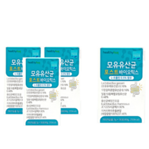 저포드맵 유산균 과민성 rgg 람노스 대장 도달 가스 lgg 3+1