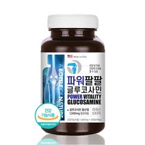 건강템 관절영양제 글루코사민 프로테오클리칸 관절에좋은영양제 관절단백질 글루타민 MSM 글루코사민 대상글루코사민 관절약 그린글루코사민 캐나다글루코사민 조인트파워 베스쳐글루코사민 종근당글루코사민 관절연골보스웰리아 엠에스엠, ◈▣상품선택♬