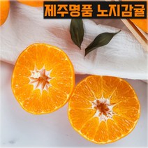 제주 고당도 햇노지감귤 조생 타이벡 타이펙귤 3kg 5kg 10kg 10키로 산지직송 중대과 제철 한박스 택배 보관방법 3키로 5키로, 제주감귤 10kg내외 꼬마과(순차출고), 1개