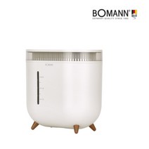 정품//넉넉한2L/보만 듀얼가습기 2EA/미니 무소음/2단분무/USB무선사용/필터내장, 상품