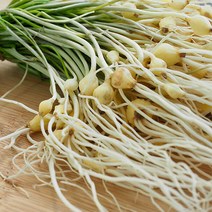 국내산 세척 달래 500g, 1개