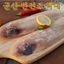 군산직송 반건조 박대 서대 구이 찜 40cm내외 크기선택 말린생선 8-10미 골라담기, [대] 박대 28~32cm내외 x 10마리