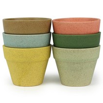 칼라 토기분(1P) - 화분 다육 다육이 미니 인테리어 도자기 선인장 식물 토분 토기화분 실내 사무실 홈카페 홈가드닝 어린이집 유치원 식목일 행사 책상 아이방, 02_Sein_칼라토기분A_그린