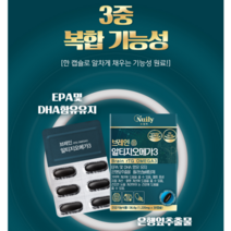 뉴일리 징코알티지오메가3 1박스 알티지오메가3 은행잎추출물 노르웨이산 정제어유 홍삼농축분말 대두레시틴, 3개