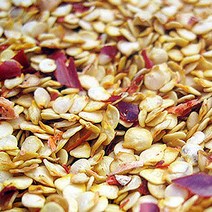 국내산 고추씨 1kg 국산 햇 고추 고추씨앗 천연 칼칼한맛 쪽빛누리