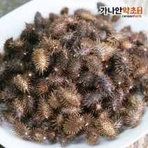 가나안약초 국내산 창이자(도꼬마리), 300g, 1개