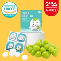 자일리톨 튼튼캔디 핀란드 천연 자이리톨 자일스톤 덴티캔디 아기 유아용 어린이 맛있는 양치 충치예방 무설탕 무가당 캔디 사탕 스톤 간식 청포도 샤인머스켓 낱개포장 60정, 튼튼캔디 2박스