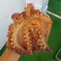 통영 자연산 활 돌문어, (생물)돌문어 700g(1-2마리), 1개