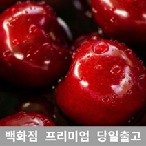 가락청과네 체리 3.5kg 바이오체리 생체리 가격 과일, 1, 본상품선택
