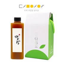 수제청 담아요 수제 핸드메이드 과일청 수제청 선물포장 포함 답례품 명절선물 세트, 1세트, (1구포장)생강청650g(플)
