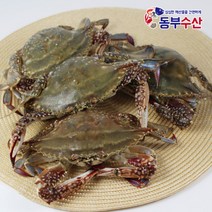 동부수산 연평도 꽃게 1kg 냉동숫꽃게 냉동암꽃게 찜 무침 탕용, 1개, [냉동]_숫꽃게 3~5마리 1kg 내외