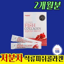 석뉴 피쉬 콜라겐 하루 섭취량 히알루론산 40대 여성 30대 50대 20대