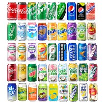 뚱캔 355ml 340ml 코카콜라 제로 스프라이트 칠성사이다 캔커피 환타 맥콜 식혜 트로피카나 이온음료 코코팜 썬키스트 웰치스 일화에이드 24캔 중 택1, 갈배사이다 355mlX24캔