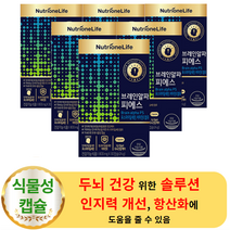 뉴트리원 인지력 개선 두뇌건강 브레인알파 피에스 30캡슐 (6박스) - 식약처 안전성 입증 뇌 두뇌 영양 셀렌 은행잎 추출물 비타민E 수험생 수능생 포스파티딜세린 브레인 알파피에스