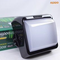 LED벽부등 주차장등 유도등 실외 벽조명 외벽등 30W 히포LED DEQ030, 06.(고효율)주광색_블랙바디