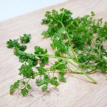 처빌 1팩 10g 허브 향신료, 단품