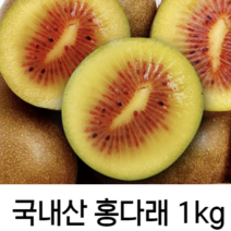 국내산 제주 고당도 레드키위 홍다래 1kg 2kg 3kg 고품질 선물세트 제주산 중대과 국산 달콤함의 끝판왕 레드 키위 제철 과일 명절 선물 세트, 2kg/중대과(개당 85g내외)
